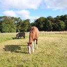 Property image thumbnail
