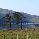 Property image thumbnail
