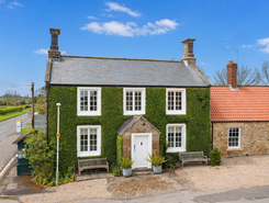 Listing main image