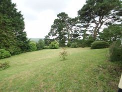 Listing main image