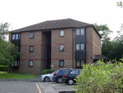 Listing main image