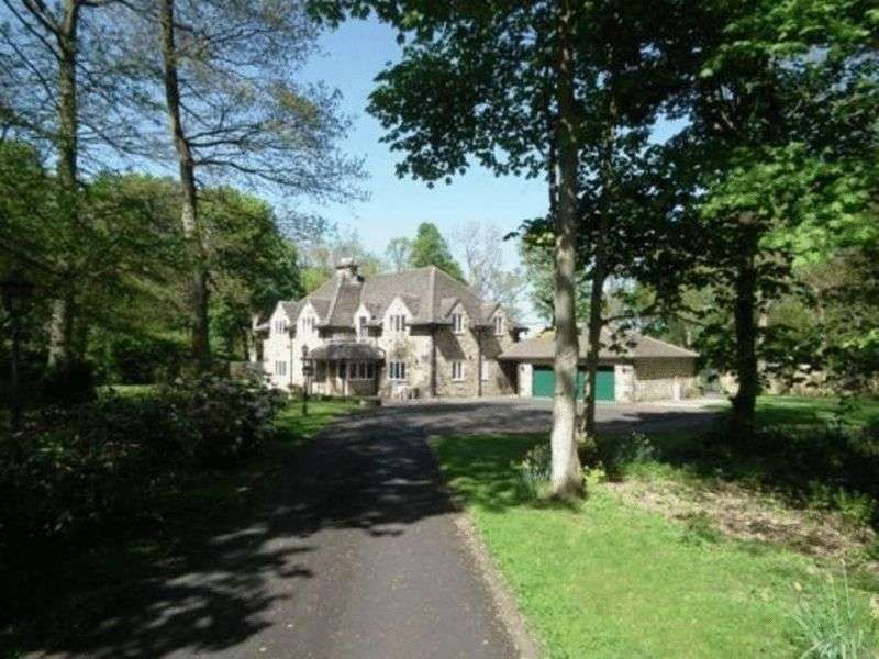 5 bedroom detached house to rent, Juniper, Gubeon Wood, Tranwell Woods ...