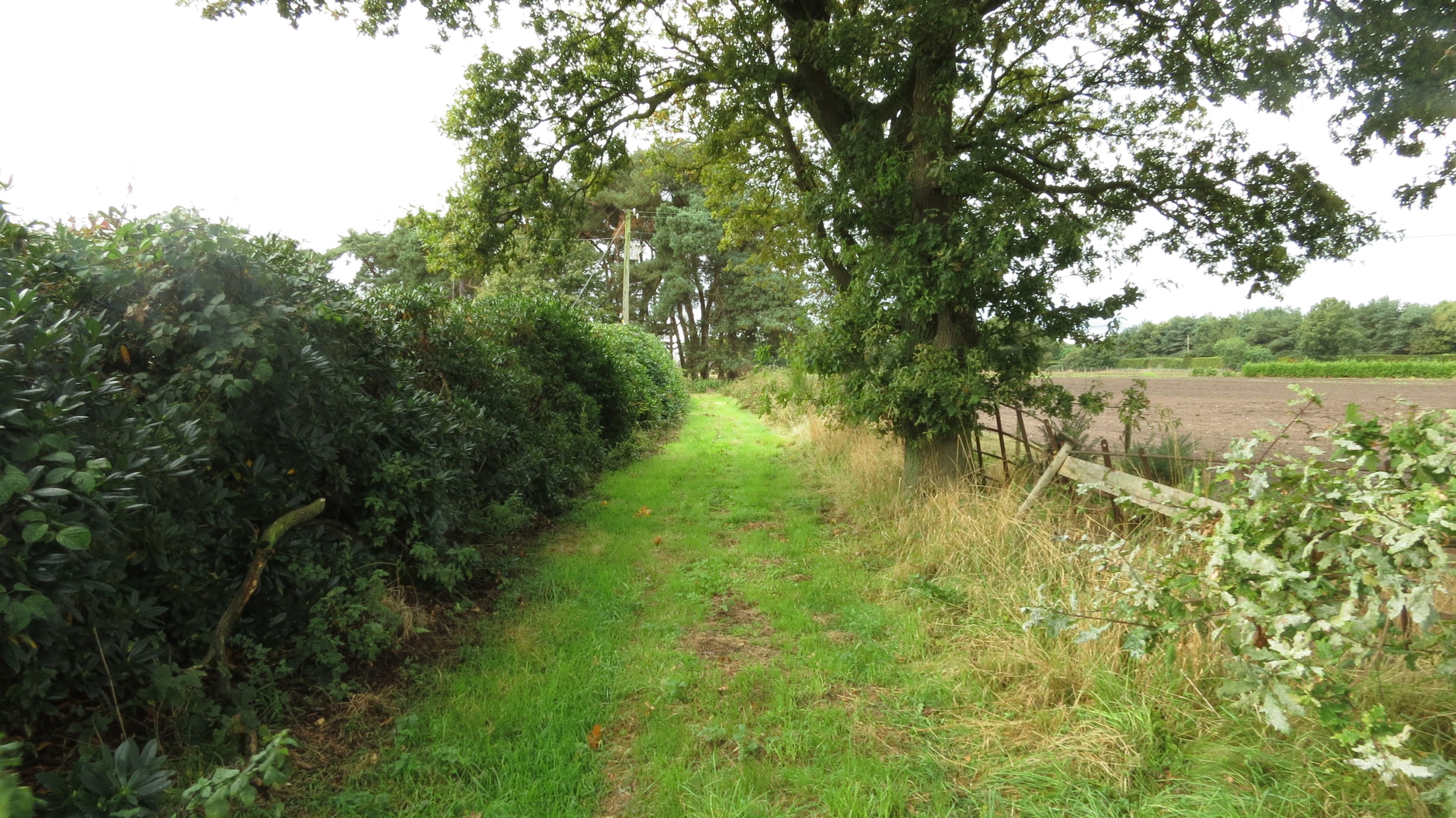 Land for sale, Higher Heath, Whitchurch SY, SY13 2HZ